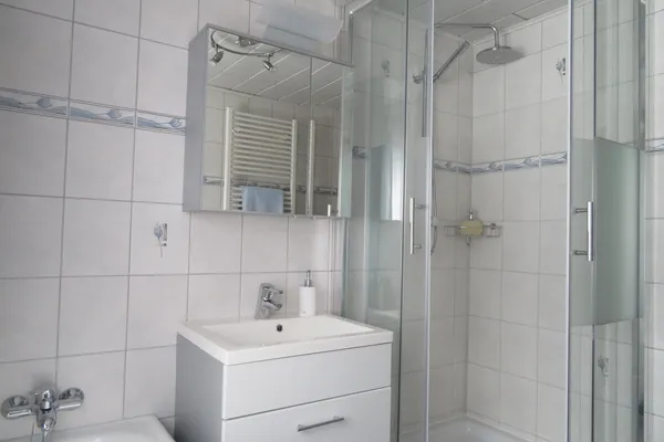 Bathroom apartment Dachstein