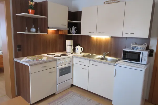 Kitchen with stove, fridge and micro in Apartment Sonneck